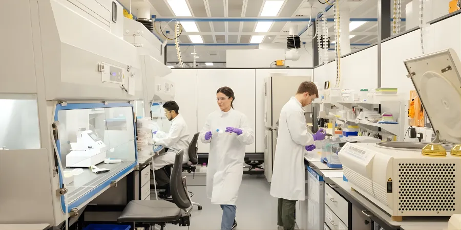 Design & Development